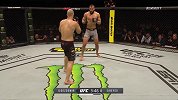 UFC格斗之夜147：轻重量级 沃尔坎VS雷耶斯