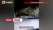 夜里大黑山风景区偶遇4头大野猪