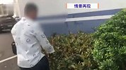 男子被眼镜蛇咬当场喝酒解毒，被举报诈骗后坦白：秘密藏在蛇嘴里