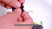 早上不知道吃什么，来一碗热气腾腾的清汤馄饨，营养好吃又简单！