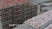 一天吃40个鸡蛋？别学！吃鸡蛋六大误区，很多人天天在犯