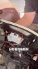 电动车里还能“长出”小奶猫？