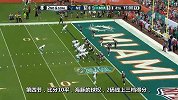 NFL-1314赛季-常规赛-第十五周-爱国者VS海豚集锦-集锦