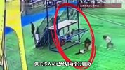 工作人员滑行辅助启动，幼童游乐场高台重重摔落，家长：当时就发现孩子未坐稳，制止却已来不及