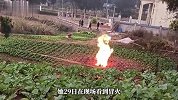 田地突然自燃冒火，“烧了一天一夜”？当地政府回应