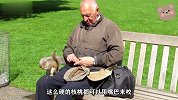 公园里有一群松鼠，看到老爷爷派发食物，全都有序排着队领取