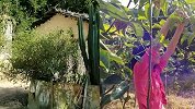 广西“百香果女孩”遭侵犯致死 母亲称两年未收到道歉