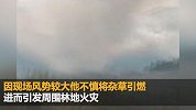 济南男子清明节上坟烧纸致上万棵树被烧 获刑两年缓刑四年
