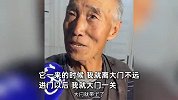 大爷声情并茂讲述与老虎近距离“博弈”：呼一下就奔我来了，当时我都没跑