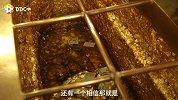 叠莲花、贴金币、还有泰国北方传统服装，老板带你开启浪漫之旅！