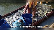 学习孙子兵法-鱼贩子高启强的“狂飙”之路