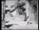 并肩前进