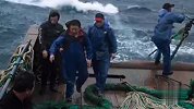 刚打捞上来的鲳鱼，浇上秘制的酱汁，肉质鲜嫩味道一流
