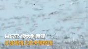中国黄(渤)海候鸟栖息地(第一期)，列入世界遗产名录