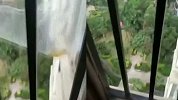 女子家中阳台连续10天被泼尿液 多次敲门楼上邻居无一人承认