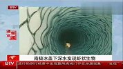 南极冰盖下深水区域发现虾状不明生物