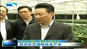 湖北新闻-20120411-赵斌在汉调研林业产业