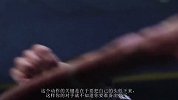 UFC-15年-佩提斯UFC招牌动作：“飞踢哥”蹬笼一击成名（中文版）-专题