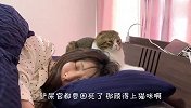 猫咪跑去叫女主人起床，过程看一次笑一次，结局太逗了