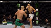 UFC-17年-格斗之夜108自由格斗：罗波夫vs阿维拉-专题