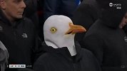 利物浦与布莱顿的足总杯上，带着海鸥头套的球迷成功抢镜