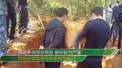 “摸金校尉”深夜盗挖千年古墓 精美墓砖散落一地部分遭贱卖