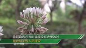 58岁大妈离异20年欲再婚 民政局一查竟不是单身