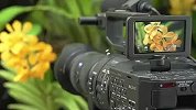 Sony NEX-FS700街头试用