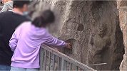 辣眼睛!龙门石窟千年佛像再遭“黑手”  被游客摸得黝黑发亮