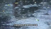 女子鱼塘边遭电击身亡，丈夫怀疑是因人工降雨所致，当地回应质疑