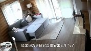 铲屎官出门不带美洲狮，结果肠子都悔青了，看完忍住别笑
