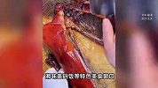 武汉一高校食堂称烧鹅饭是广东俗称，食材为烤鸭，广东网友炸锅