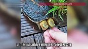 男子养双头龟6年，冬眠醒来超黏人：两个脑袋具有独立思想，各控制一半身体