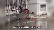 4岁男童坠入水塘，小伙纵身跃入托举救人，发现竟是老同学的孩子