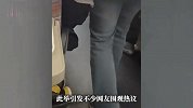 高铁车厢内一小狗在奔跑撒欢，还有不文明行为？12306回应