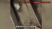 深圳一小区内开10余家青旅，居民不满：有住客搭讪未成年女孩，社区回应