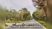 危险！4名儿童横躺马路，“对自己不负责，也是在危害行车司机”