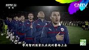 2014世界杯智利队合集