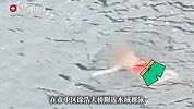 男子江中裸泳30天，市民“被迫”观看忍无可忍：建议穿条裤衩
