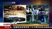 美科学家称地球存在外星生物 曾长时间停留 120409 北京您早
