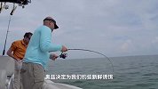 老外海钓海鲡，谁料被大牛鲨突然袭击，场面贼刺激！