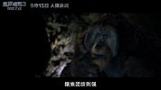 不看《猩球崛起3》，不会知道猩猩可以既霸道总裁又悲情英雄