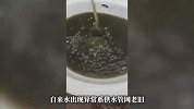 钦州一地自来水发黑发臭无法饮用，镇政府回应