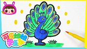 傲娇的小孔雀 跟可乐姐姐一起来画