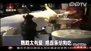 实拍鹦鹉偷主人面条给狗吃