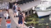 踢天鹅遭制止反将劝说者推入水中！这群“朋克少年”正被警方通缉