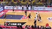 CBA-1516赛季-常规赛-第22轮-P力CBA第22期：五佳球 张三疯乔丹附体中国库里惨成背景帝-专题
