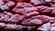 哈萨克族最美味的熏马肉马肠，寻址一个多月，味道一绝