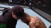 UFC235副赛：羽量级 史蒂芬斯VS扎比特