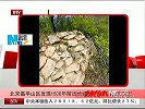 北京昌平山区发现1500年前古长城